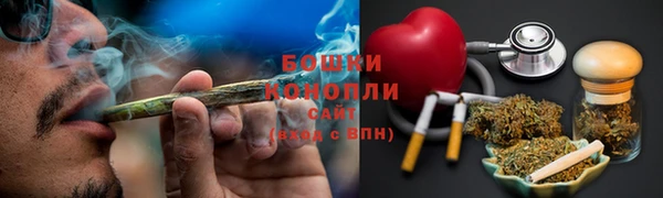 МДПВ Нефтегорск