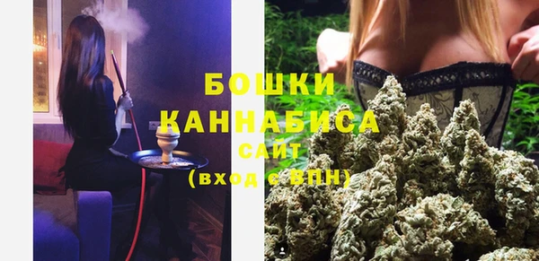 МДПВ Нефтегорск