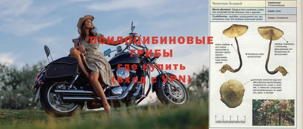 МДПВ Нефтегорск