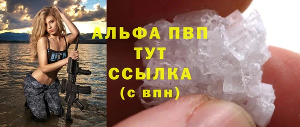 МДПВ Нефтегорск