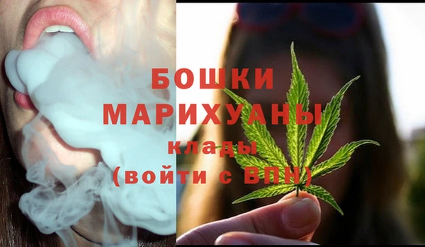 МДПВ Нефтегорск