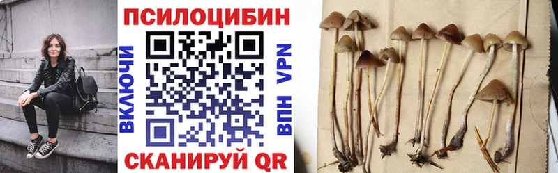 Псилоцибиновые грибы прущие грибы ссылка на мегу рабочий сайт Минусинск закладка
