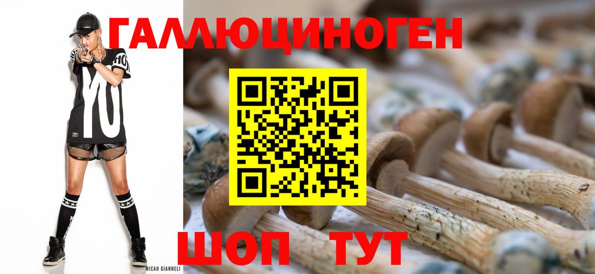 Псилоцибиновые грибы Psilocybe  Вход с VPN  Минусинск 