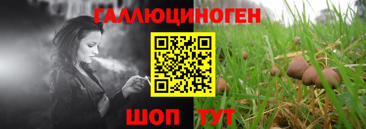 Галлюциногенные грибы Cubensis  Минусинск 